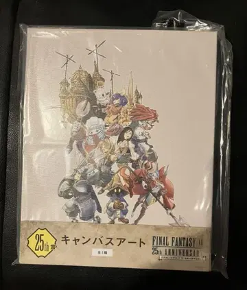 FINAL FANTASY IX 출시 25주년 기념 복권 캔버스 아트