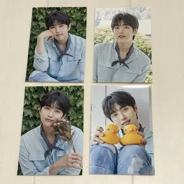 b1a4 샌들 엽서