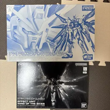 RG 1/144 스트라이크 프리덤 건담 티타늄 피니쉬