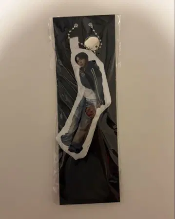AHOF POPUP 쿠션 키링 차웅기
