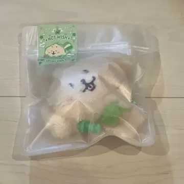 공식 NCT WISH 위시 인형 재희 덴트 리버 JAEHEE