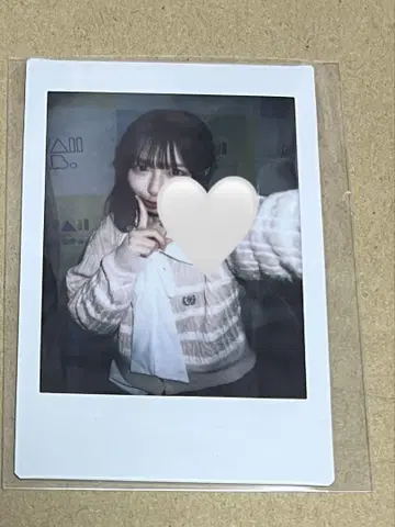 사쿠라바 하야카 폴라로이드 러브 트레인