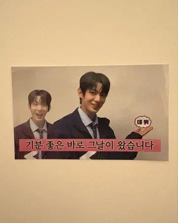 AHOF 데뷔 쇼케이스 트레이딩 카드 스티브