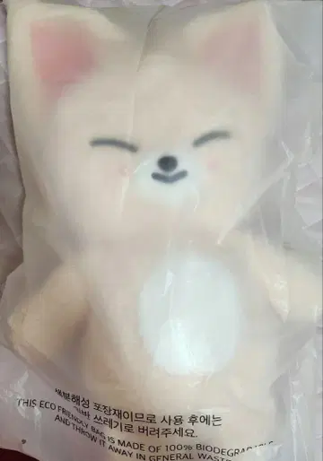 FoxI.Ny 폭시니 SKZOO 테디베어 봉제 인형 아이엔