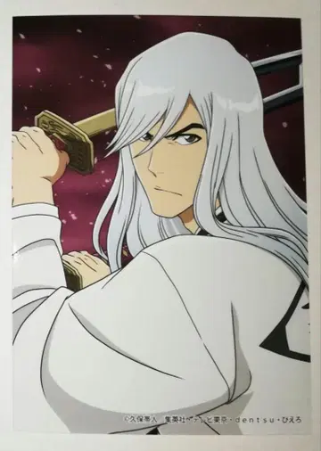 BLEACH 블리치 우키타케 토시로 생 브로마이드 엔스카이 JF