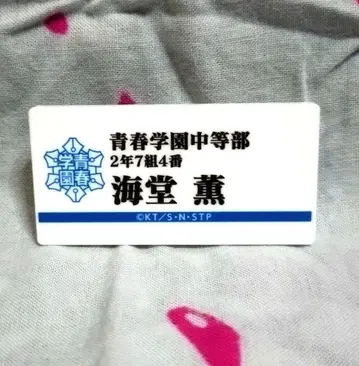 테니스의 왕자님 전시회 명찰 배지 카이도 카오루