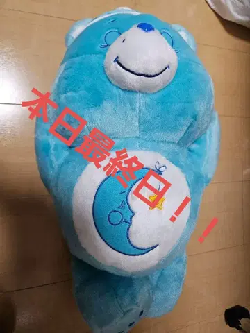케어 베어 스야스야 BIG 봉제 인형