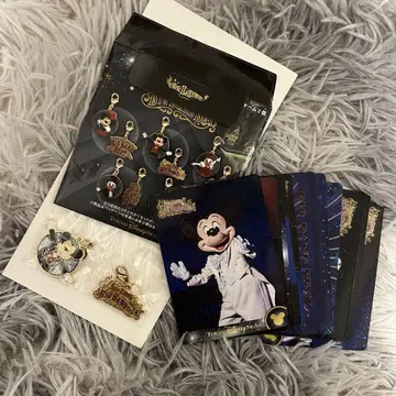 빅뱅 비트 미키 세트 참 카드