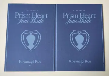 셀레브레이션 카드 로우 2장 세트