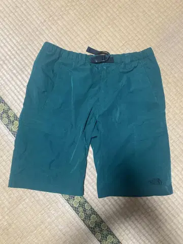 THE NORTH FACE XL 그린 숏 팬츠