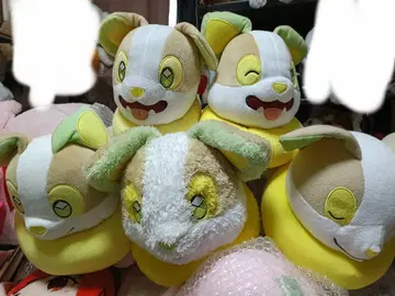 완파치 봉제 인형 묶음 판매 포켓몬