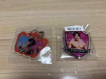 DRAGONGATE 드래곤 게이트 드래곤 다이아 아크링 키링 묶음 판매