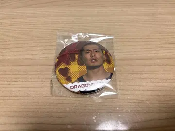 DRAGONGATE 드래곤 게이트 미노우라 코타 캔뱃지