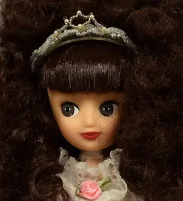 세키구치 루네 인형 나카토 루네 신데렐라