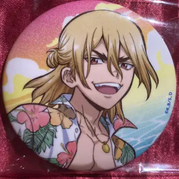 dr.stone 나나미 류스이 애니메이트 카페 애니카페 캔뱃지