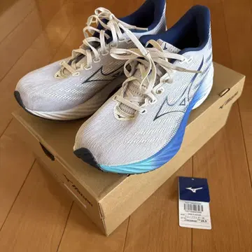 미즈노 웨이브 라이더