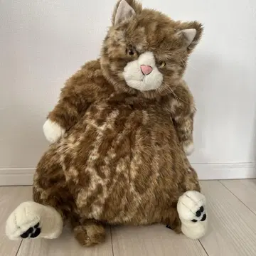 카들리 고양이 무슈 cuddly cat