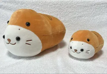 환상의! 츠치노코시로탄 주황색 부모와 자식