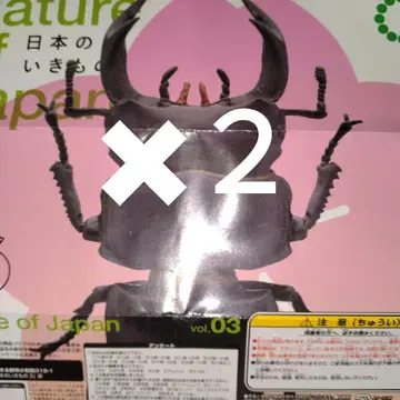 일본의 생물 가챠 오오쿠와가타 2개