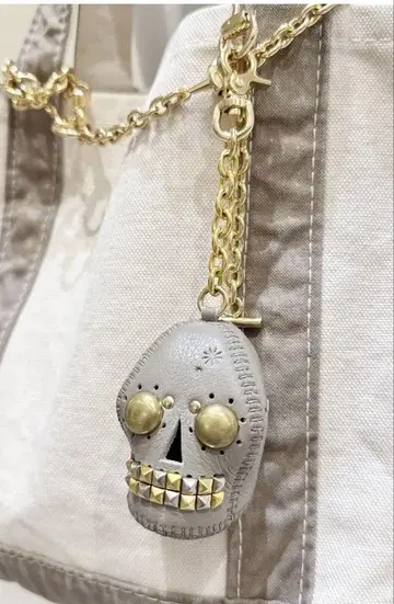 MUSE ENDPIN 엔드 핀 스컬 KEY 홀더 그레이