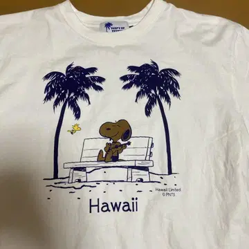서핑 업 Hawaii Limited 일광화상 스누피 티셔츠
