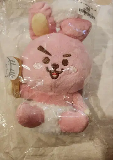 라인프렌즈 쿠키 봉제 인형 약 20cm