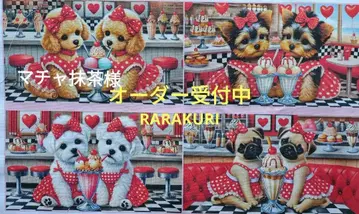 토이 푸, 요키, 치와와, 말티즈, 퍼그, 닥스, 시즈, 포메, 코기