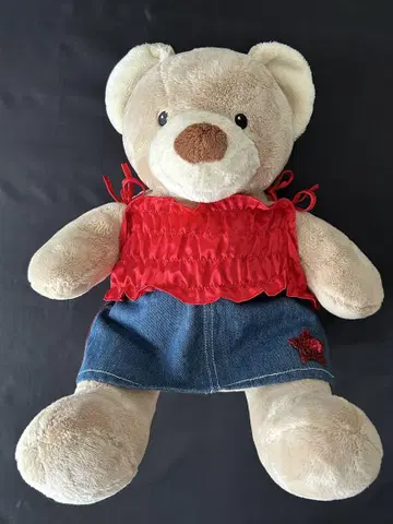 빌드 베어 봉제 인형과 코스튬 세트