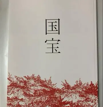 영화 국보 팜플렛 새상품 미독 요시자와 료 요코하마 유성