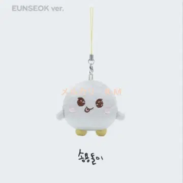 공식 RIIZE 은석 성연 미니 인형 키링