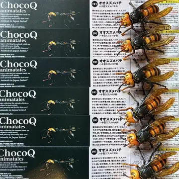 ChocoQ animatales 큰 말벌 6개 세트