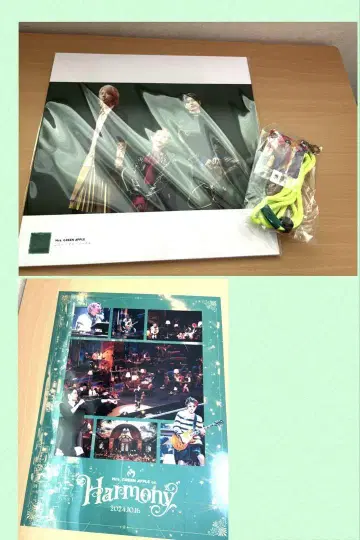 Mrs. GREEN APPLE 앨범 10