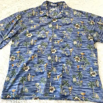 Pierre Cardin 알로하 셔츠 올 패턴 파인애플 2XL