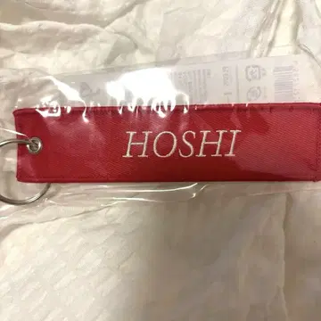 FOLLOW THE CITY FLIGHT TAG KEYRING 호시