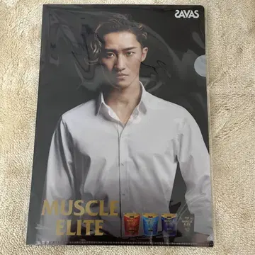 이와모토 테루 SAVAS 클리어 파일