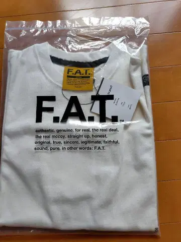 FAT BLANT 티치