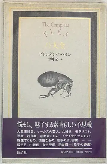 브렌던 루헤인 노미 대백과