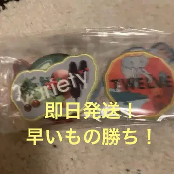Mrs. GREEN APPLE 10주년 자수 패치 세트 10개