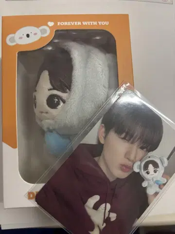 준규 봉제 인형 및 트레이딩 카드