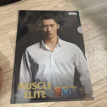 이와모토 테루 SAVAS 클리어 파일