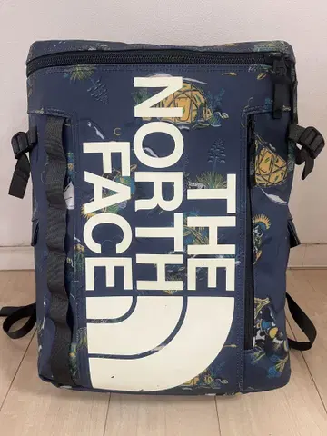 THE NORTH FACE 백팩 컬러풀