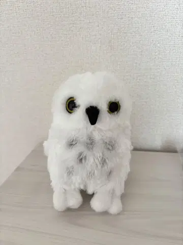 올빼미 봉제 인형 화이트