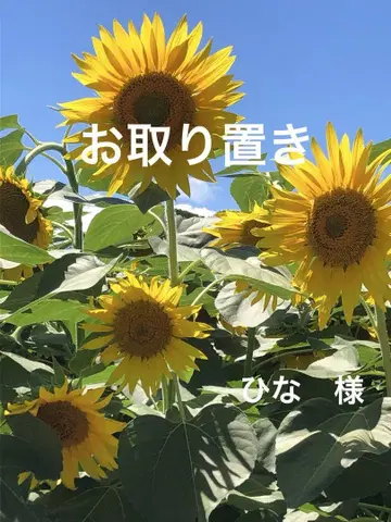 물 풍선 참