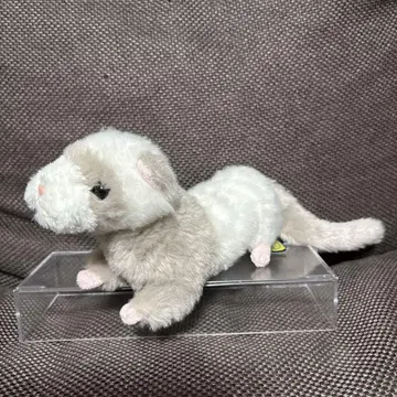 선 레몬 fluffies/플러피즈 봉제 인형 페릿