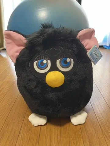 파비 블랙 봉제 인형