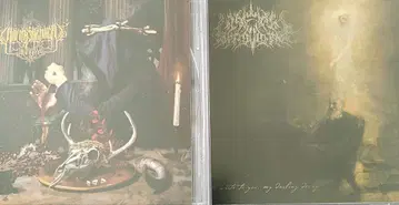 데스코어 A Wake In Providence, 웜 셰퍼드