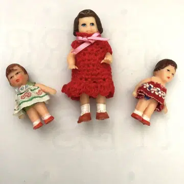 동독 아리도르