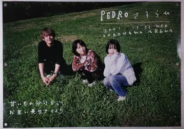PEDRO B2 포스터