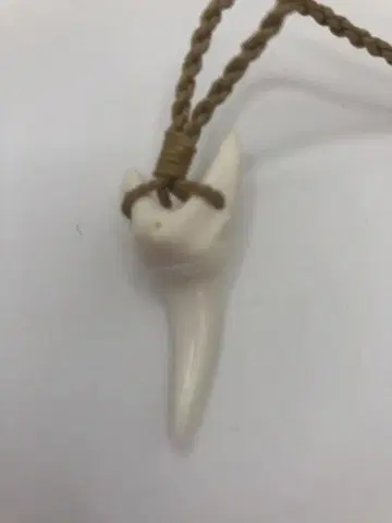 상어 이빨 sharkteeth 하와이안 주얼리 목걸이