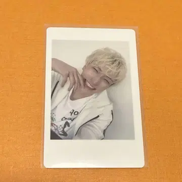 팬더 드래곤 요타 하피카